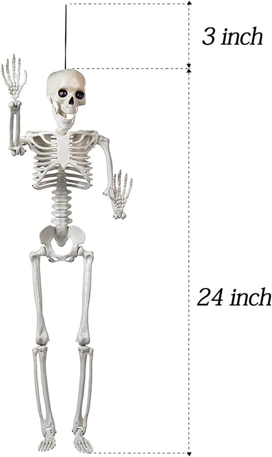 24" Full Body Halloween Skeleton Decoration – Posable Joints, Realistic Bone Design & Durable Plastic Build