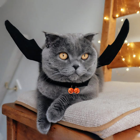 Halloween Bat Wings Costume with Pumpkin Bell for Cats and Small Dogs – Adjustable Pet Harness Outfit