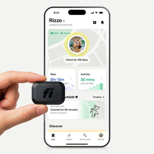 Fi Mini GPS Tracker for Cats LTE Real-Time Tracking Waterproof Smart Collar Attachment with Escape Alerts