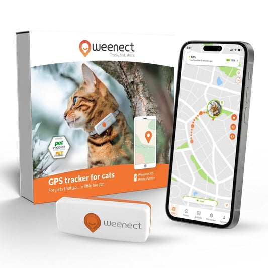 Weenect XS Ultra-Compact GPS Tracker for Cats – Real-Time Global Tracking Device with Flashlight & Secure Collar Attachment (White)