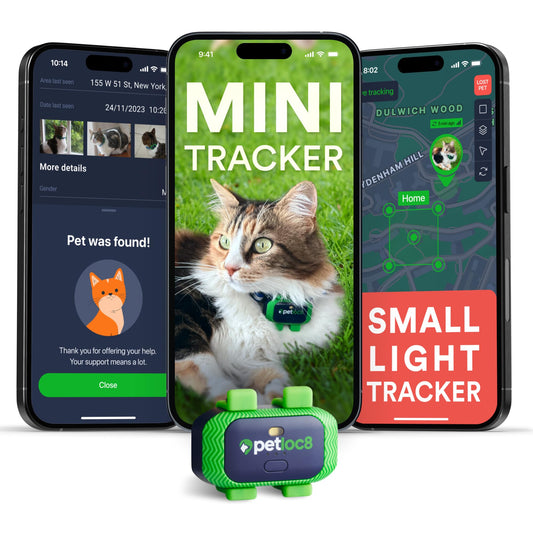 4G GPS Cat Tracker Collar Real-Time Location Waterproof Smart Pet Locator with Geo-Fence Alerts and App Control