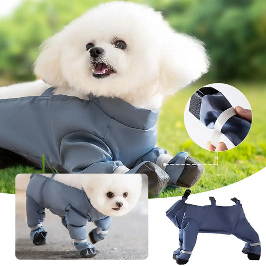 Universal Dog Shoes & Windproof Jacket – Four-Season Outing Accessories for Small/Medium/Large Dogs