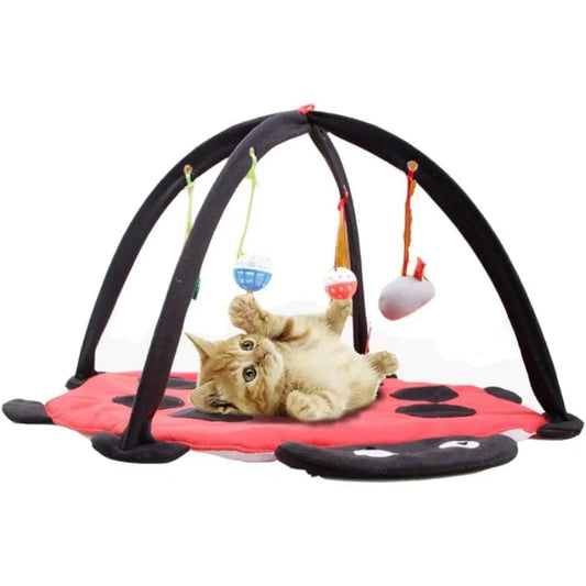 Cat Tent Activity Center – Indoor Cat Bed Tent with Hanging Toys & Balls, Play Mat for Kittens & Cats to Exercise & Relax