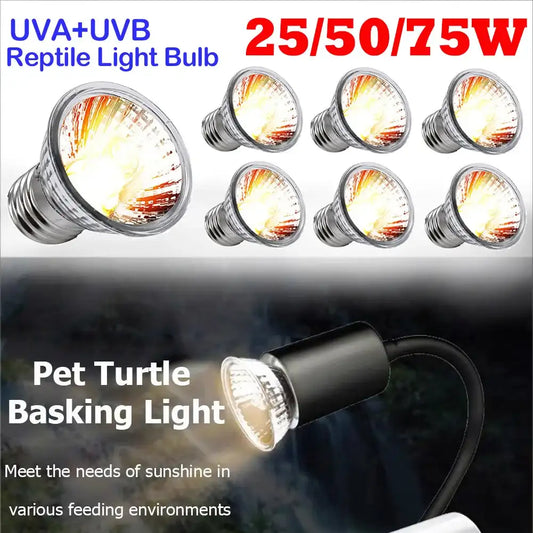 UVA + UVB Pet Reptile Heating Lamp – 25W/50W/75W Heat Light Bulb for Turtles, Lizards & Amphibians, Full Spectrum Sunlamp for Terrariums