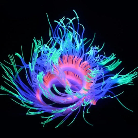 Luminous Silicone Sea Anemone Coral Décor – Glow-in-Dark Artificial Aquarium Decoration for Fish Tank Landscape