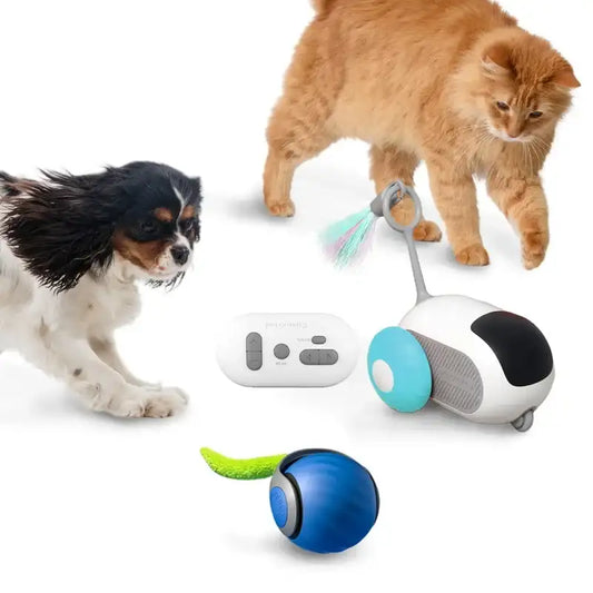 Interactive Remote-Control Cat Toy Car & Smart Electric Rolling Ball with Feather Tail