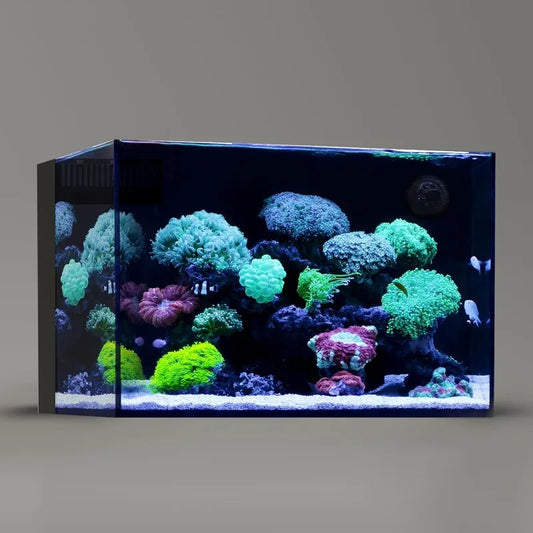 https://www.pulingo.com/products/60p-26-23-gallon-ultra-clear-all-glass-rimless-low-iron-aquarium-tank-23-6wx17-7dx15-8h-in60x45x40cm-8mm-thickness?utm_source=copyToPasteBoard&utm_medium=product-links&utm_content=web