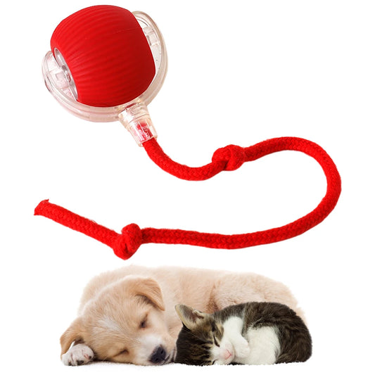 Rechargeable Interactive Cat Ball Toy – Electric Self-Rotating Automatic Rolling Ball for Cats, Anti-Depression Play