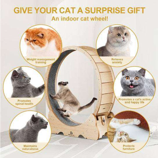 Cat Exercise Treadmill With Carpeted Runway - PulinGO