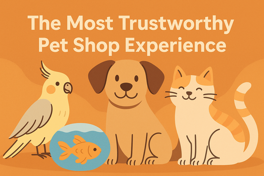 The Most Reliable Petshop Experience for Your Beloved Companions