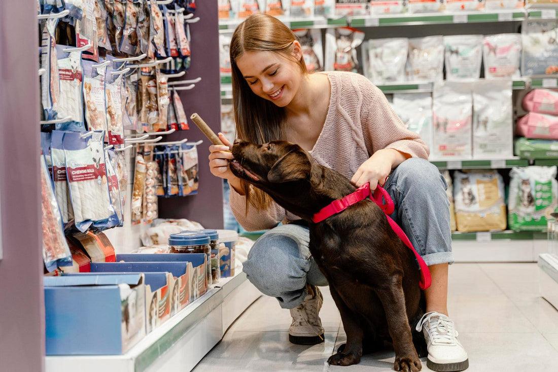 5 Top Pet Shop Trends Loved by Pet Owners in 2025 - PulinGO