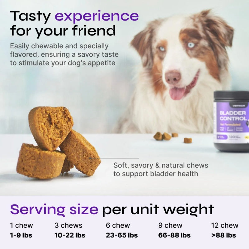 Dog UTI Treatment Cranberry Chews – Bladder Control & Kidney Support with D-Mannose