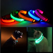 LED Pet Safety Halo Collar – Rechargeable Light-Up Dog & Cat Collar for Night Walks & Outdoor Visibility