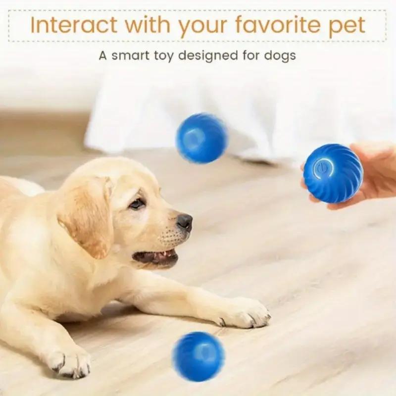 Blue & Orange Pet Bouncing Ball – Fun Interactive Toy for Cats & Dogs, Durable Rubber Ball for Playtime & Exercise