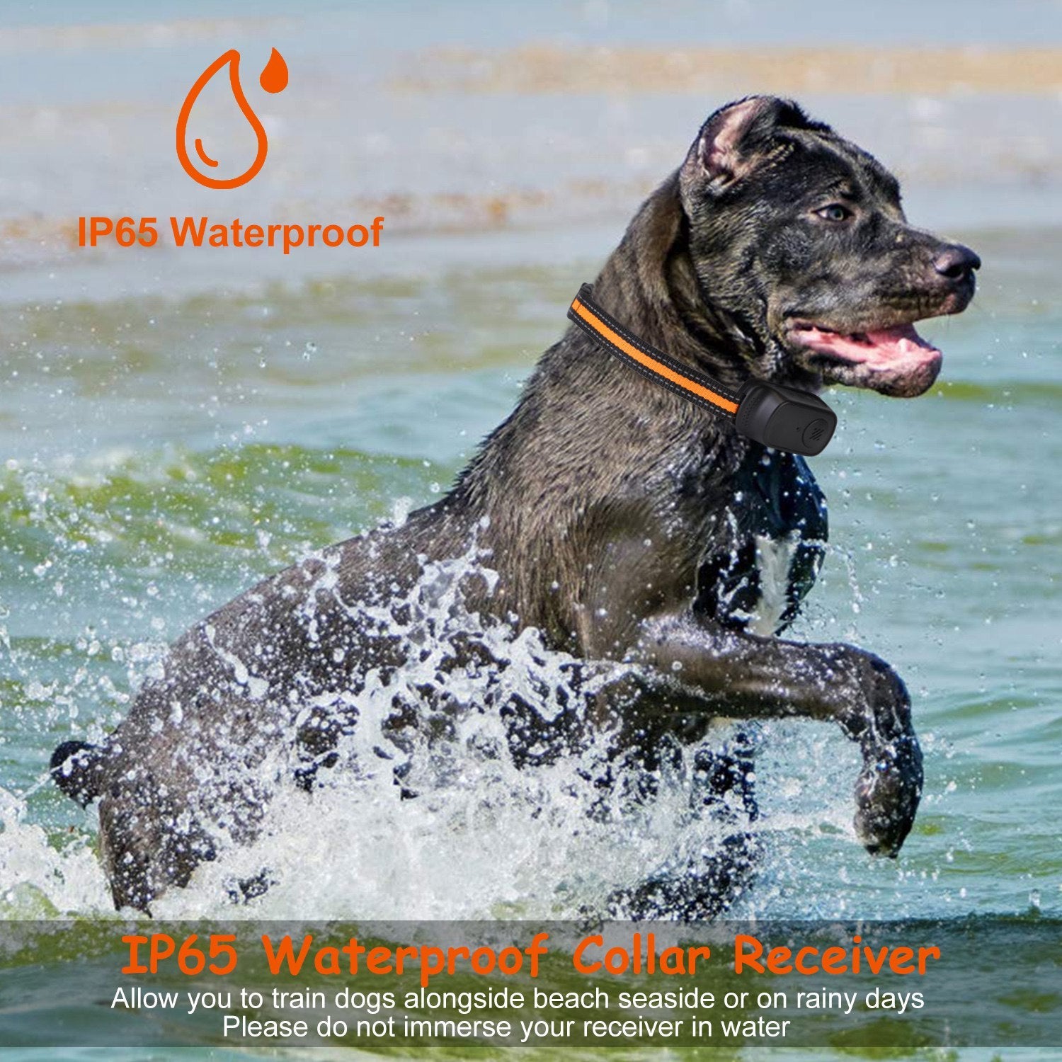 Dog Training Collar – 984 ft Range, IP65 Waterproof with Beep, Vibration & Shock Modes, 3-Channel, Rechargeable with Safety Keypad Lock
