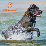Dog Training Collar – 984 ft Range, IP65 Waterproof with Beep, Vibration & Shock Modes, 3-Channel, Rechargeable with Safety Keypad Lock