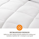 Four-Season Universal Down Comforter – Lightweight All-Year Duvet Insert