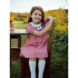 Toddler Kids Girls Back to School Dress – Smocked Collar Puff Sleeve Plaid Embroidered Outfit