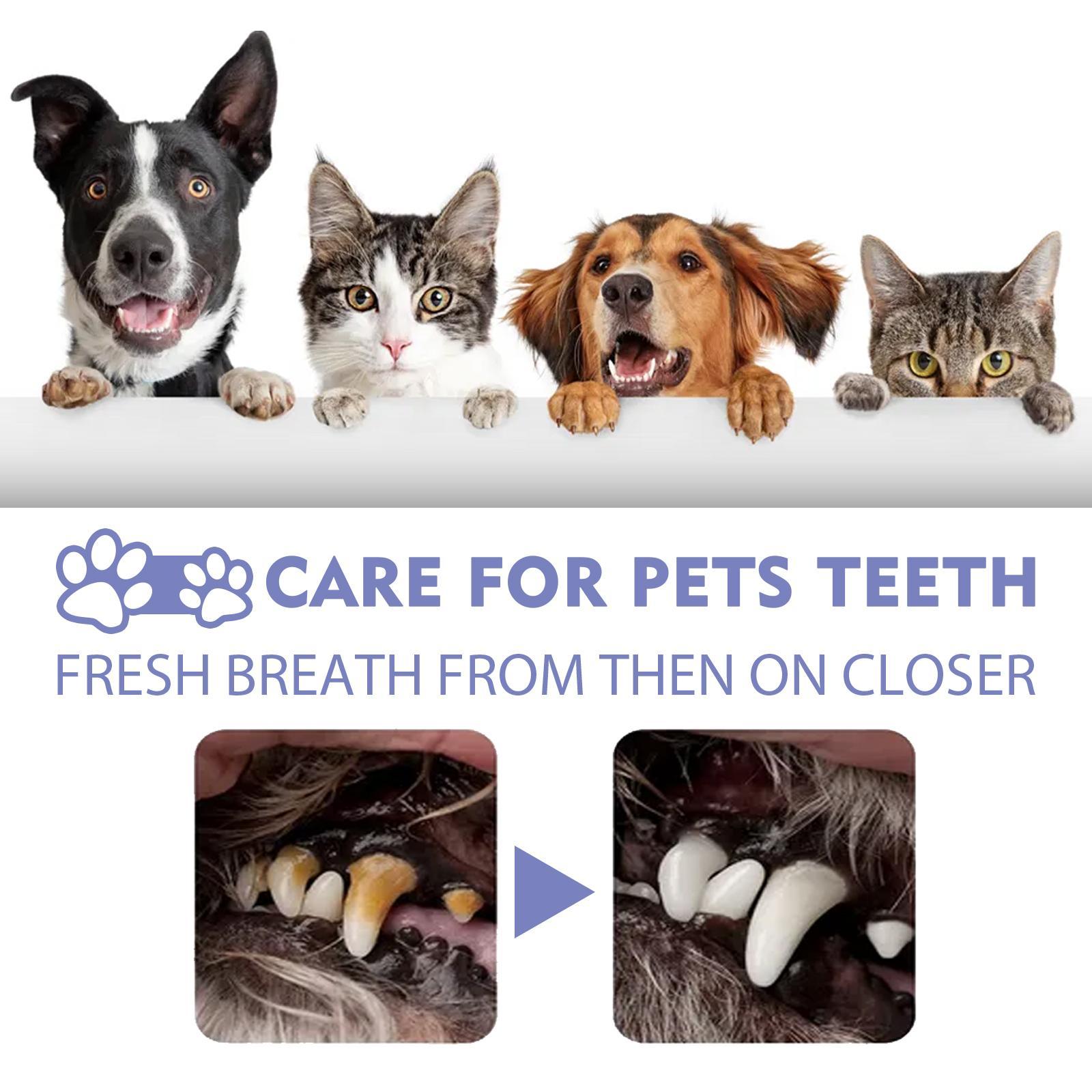Yegbang Pet Oral Cleaning Spray – Breath-Freshening, Tartar-Reducing Dental Mist for Dogs & Cats
