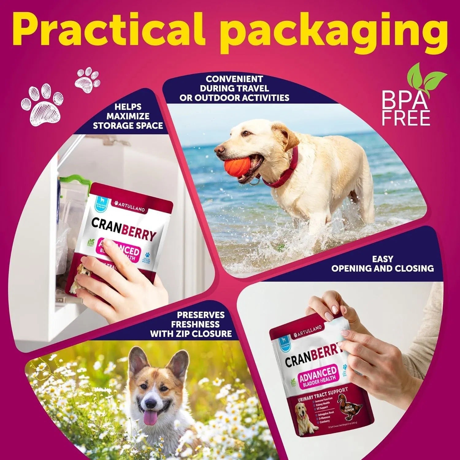 Dog UTI Treatment Cranberry Supplement – Bladder Control & Kidney Support Soft Chews with Fish Oil