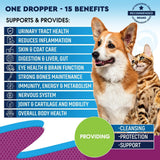 Cat & Dog Multivitamin Liquid – 15-in-1 Health Supplement with Glucosamine & Cranberry for Urinary, Kidney, Joint, Skin & Coat Support
