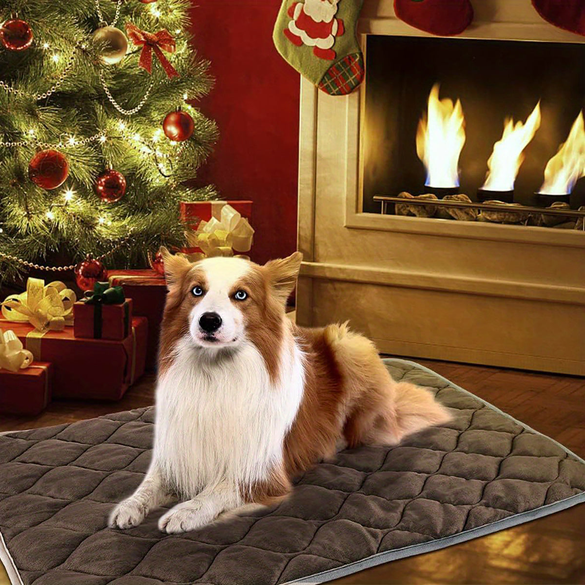 Dog & Cat Thermal Bed Mat – Extra Warm Self-Heating Pet Pad with Non-Slip Bottom, Washable Crate Pad for Indoor & Outdoor Use