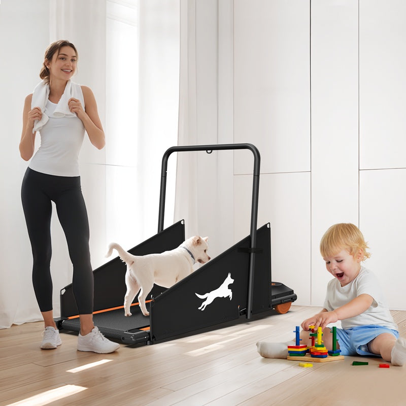 Dog Treadmill – Indoor Exercise & Training Machine for Small and Medium Dogs | DogPacer Running & Walking Fitness Equipment