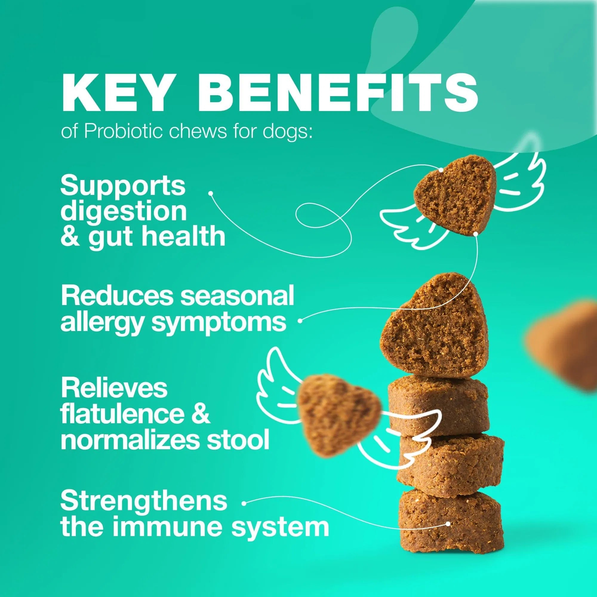 Probiotics for Dogs – 180 Chews with Digestive Enzymes for Gut Health, Immunity, Yeast Balance & Allergy Relief