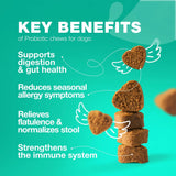 Probiotics for Dogs – 180 Chews with Digestive Enzymes for Gut Health, Immunity, Yeast Balance & Allergy Relief