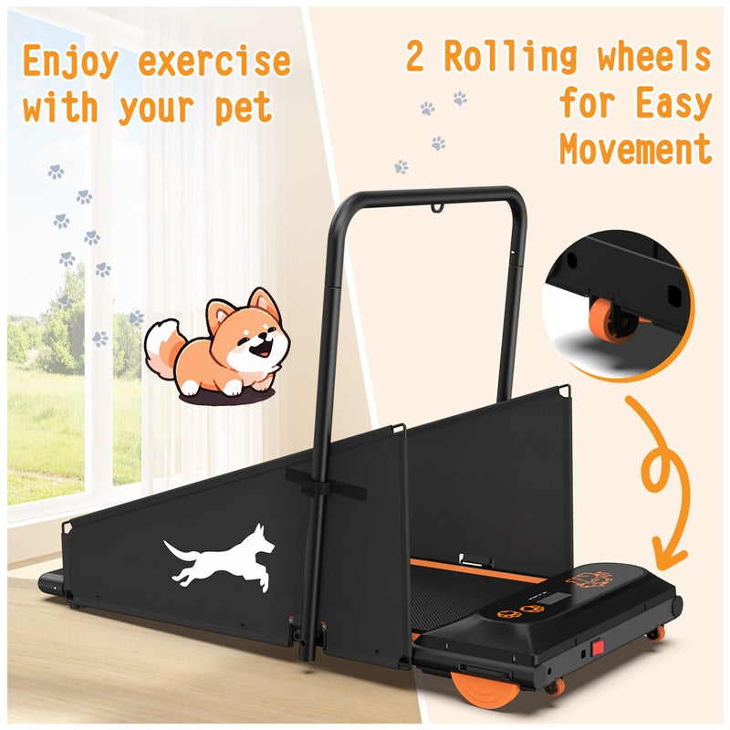 Dog Treadmill – Indoor Exercise & Training Machine for Small and Medium Dogs | DogPacer Running & Walking Fitness Equipment