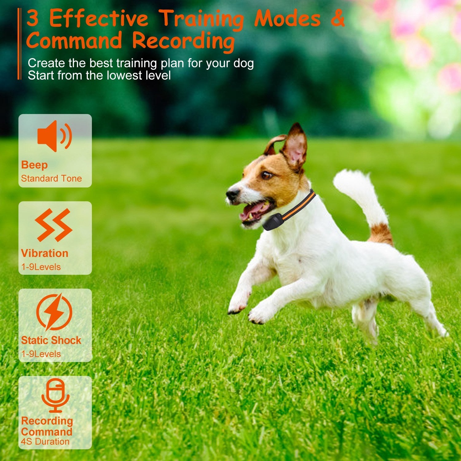 Dog Training Collar – 984 ft Range, IP65 Waterproof with Beep, Vibration & Shock Modes, 3-Channel, Rechargeable with Safety Keypad Lock