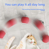 3pcs Set (Red, Grey, Green) Full Smart 360° Rolling Pet Ball, Pet Only, 3 Modes With USB Charging LED Light With Self-Fun & Decompression, Durable Plastic Material, Suitable For Small Cats & Dogs, Can Be Used As A Holiday Gi - PulinGO