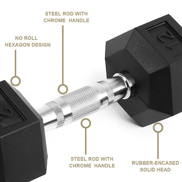 20LB (2pcs) Rubber-Coated Solid Cast Iron Dumbbells – Durable Anti-Slip Weights for Strength Training 🏋️‍♂️🔥