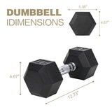 20LB (2pcs) Rubber-Coated Solid Cast Iron Dumbbells – Durable Anti-Slip Weights for Strength Training 🏋️‍♂️🔥