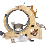 6-in-1 Cat Exercise Wheel – Upgraded Indoor Sports Wheel Device for Active & Healthy Cats