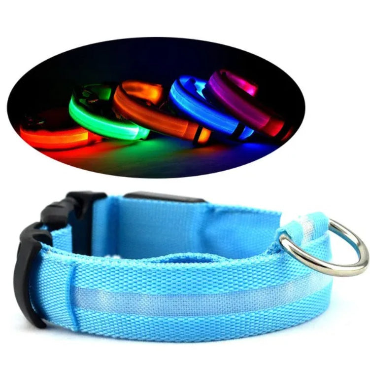 LED Pet Safety Halo Collar – Rechargeable Light-Up Dog & Cat Collar for Night Walks & Outdoor Visibility