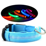 LED Pet Safety Halo Collar – Rechargeable Light-Up Dog & Cat Collar for Night Walks & Outdoor Visibility