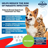 Cats & Dogs Broad‑Spectrum Herbal Deworming Drops – Safe Natural Treatment for Tapeworm, Roundworm, Hookworm & Whipworm