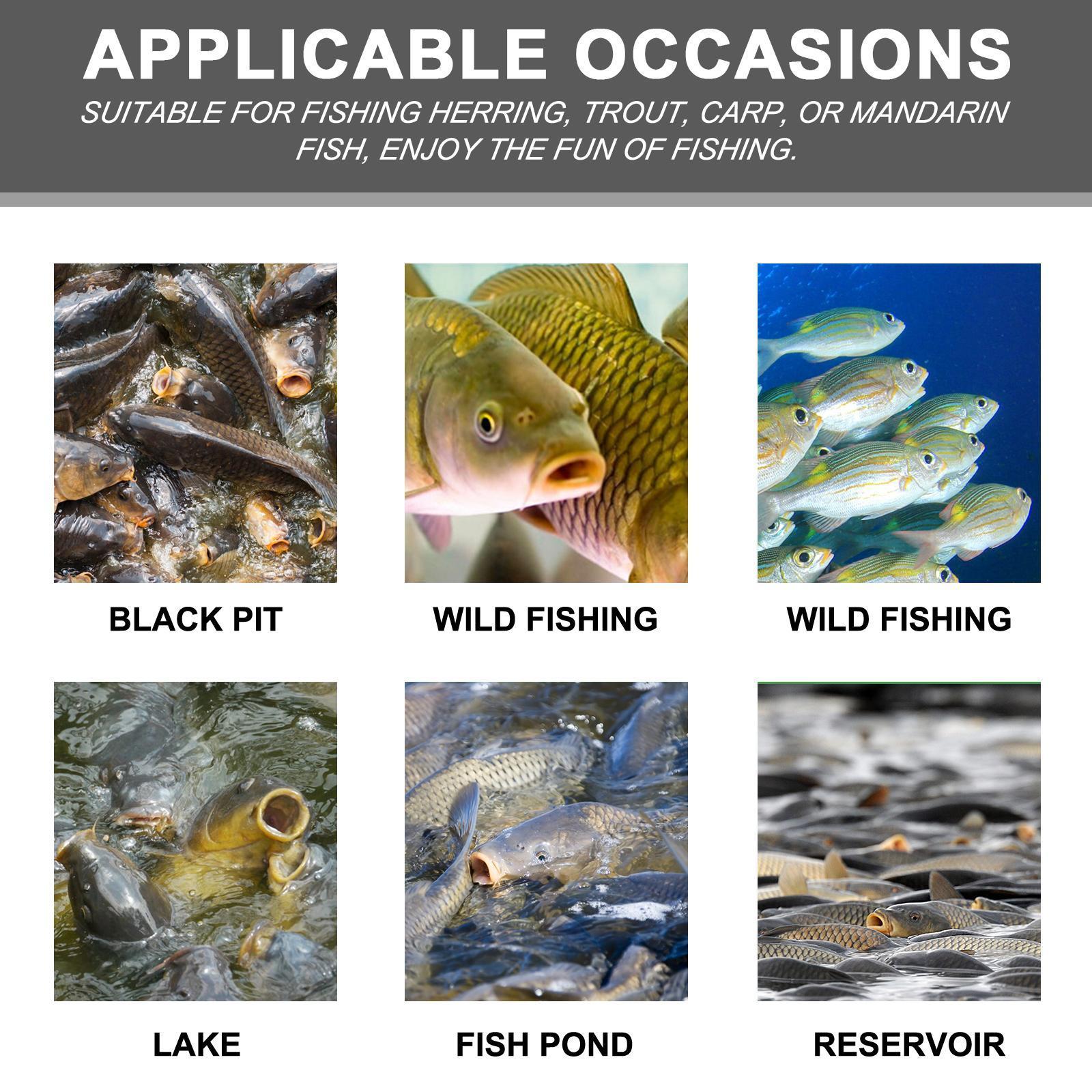 Yebang Corn Fish Bait – Portable & Effective Fishing Bait for Reservoir, Lake & Freshwater Fishing Trips