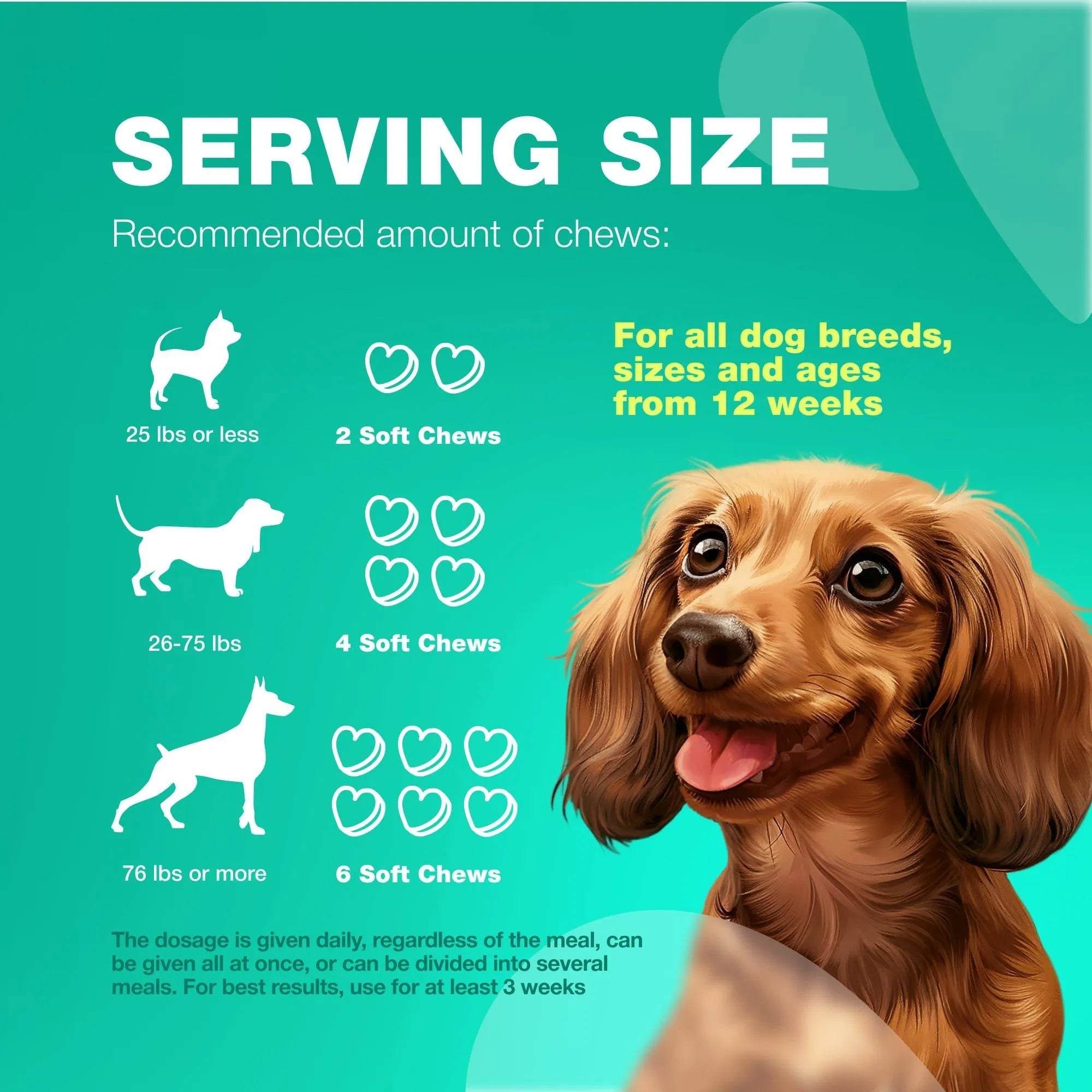 Probiotics for Dogs – 180 Chews with Digestive Enzymes for Gut Health, Immunity, Yeast Balance & Allergy Relief