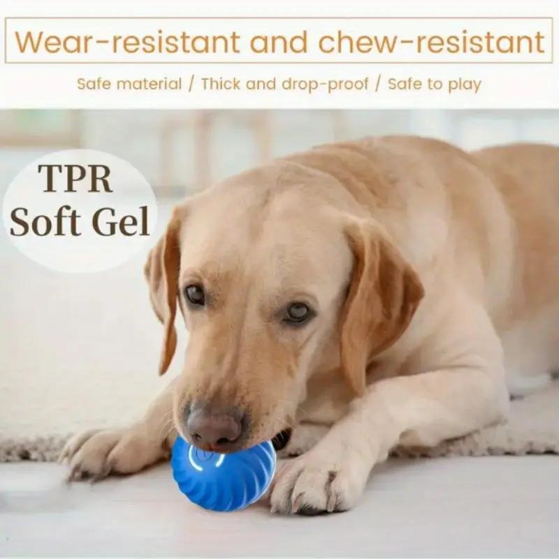 Blue & Orange Pet Bouncing Ball – Fun Interactive Toy for Cats & Dogs, Durable Rubber Ball for Playtime & Exercise