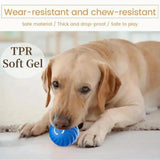 Blue & Orange Pet Bouncing Ball – Fun Interactive Toy for Cats & Dogs, Durable Rubber Ball for Playtime & Exercise