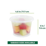 Freshware 16oz Deli Food Storage Containers – 36 Pack BPA-Free Leak-Proof Set