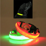 LED Pet Safety Halo Collar – Rechargeable Light-Up Dog & Cat Collar for Night Walks & Outdoor Visibility