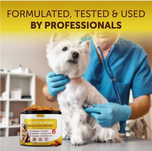 Scoot Stopper Soft Chews – Fiber & Pumpkin Supplement for Dogs, Anal Gland & Digestive Health Support (180 Chews)