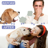 Yegbang Pet Oral Cleaning Spray – Breath-Freshening, Tartar-Reducing Dental Mist for Dogs & Cats