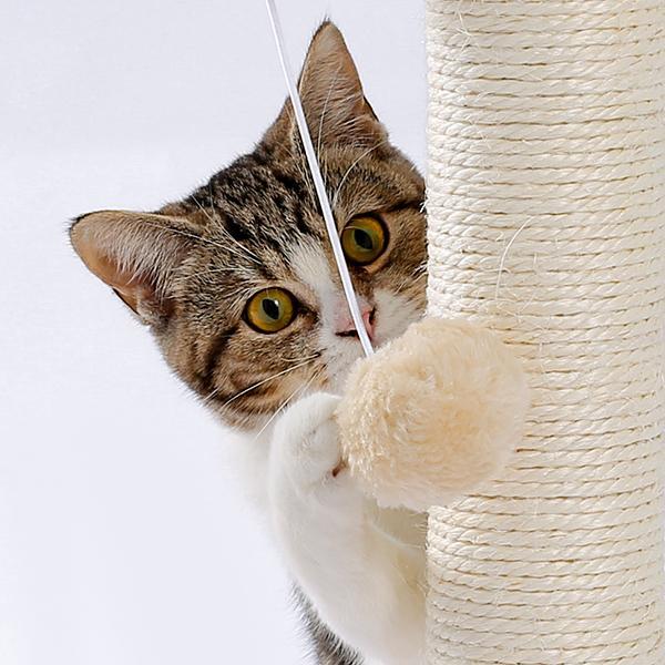 Indoor Cat Soft Scratching Board & Interactive Ball Track Toy – Cloud-Shape Groomer with Sisal Scratcher and Pom-Pom Ball Play