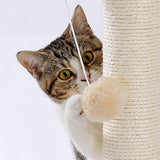 Indoor Cat Soft Scratching Board & Interactive Ball Track Toy – Cloud-Shape Groomer with Sisal Scratcher and Pom-Pom Ball Play