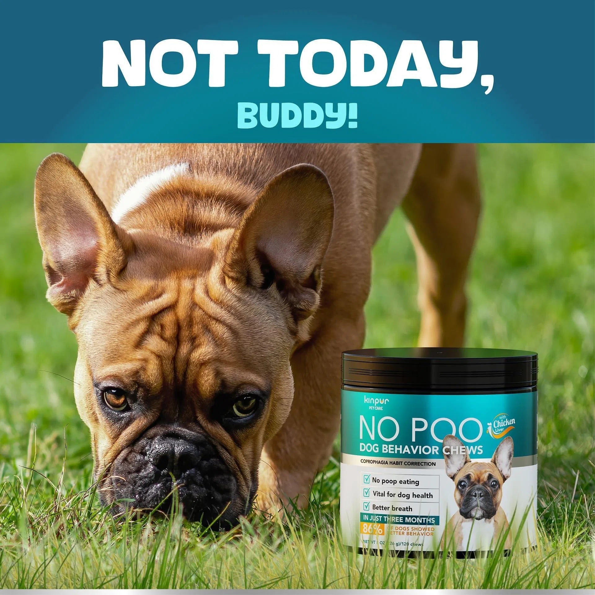 No Poo Chews for Dogs – Stop Poop Eating Behavior with Probiotics, Digestive Enzymes & Bad Breath Support