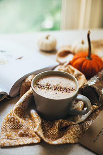 Pumpkin Spice Hot Cocoa Mix – Low Caffeine Creamy Fall Drink (1.58 lb Bag + 2 Single-Serve Packs)